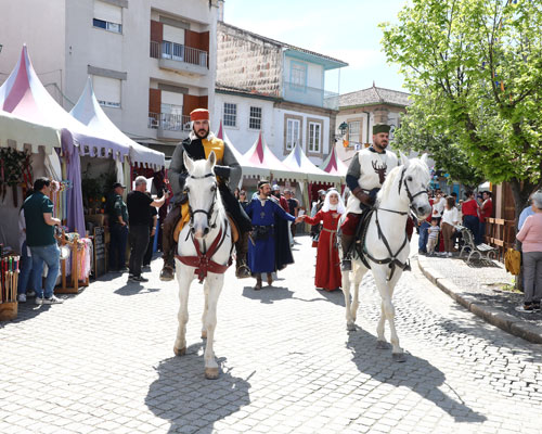 Cavaleiros e Falcoeiros de Ribadouro